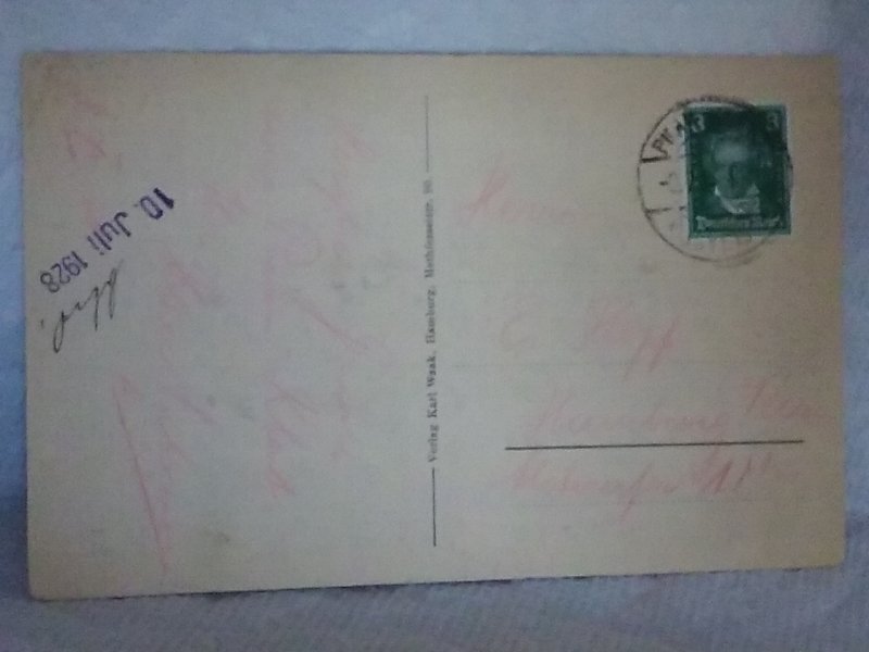 birds eggs junge moven nest 1928 German postcard