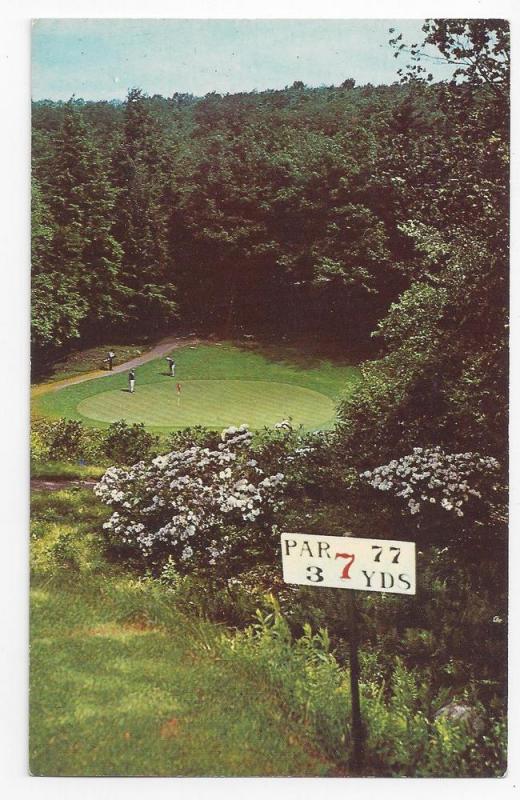 Golf Pocono Manor PA 7th Hole Green Vintage Postcard