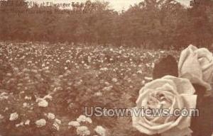 Barry's Mt. Hope Nurseries Rochester NY Unused