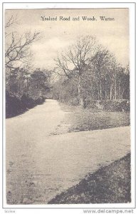 Yealand Road And Woods, Warton (Lancashire), England, UK, 1900-1910s