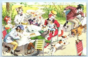 MAINZER DRESSED CATS Anthropomorphic OUTDOOR DINING Dog Fight #4961 Postcard