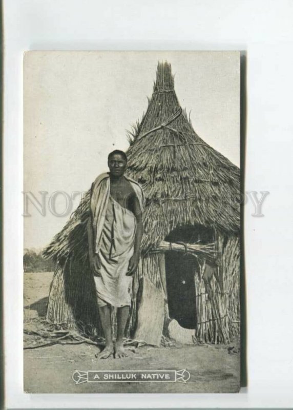 472827 Africa South Sudan Shilluk at his hut Vintage postcard