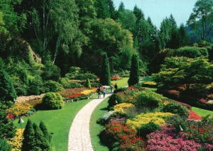 Vintage Postcard The Sunken Garden Barren Limestone Quarry 50 Acres Victoria