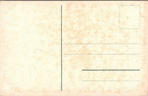 Postcard Germany Amberg Vilstor medieval tower & walls