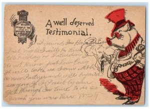 Teddy Roosevelt Political Anthropomorphic Pig Hamburg West Falls NY Postcard