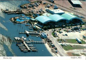 2~4X6 Postcards GULFPORT, MS Mississippi  MARINE LIFE  Animal Park~Dolphin Show