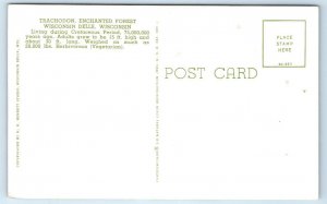 WISCONSIN DELLS, WI ~ Enchanted Forest ~ TRACHODON DINOSAUR  c1960s Postcard