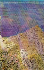 Arizona Grand Canyon National Park