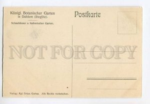 286972 GERMANY BERLIN Dahlem royal botanical garden Vintage postcard