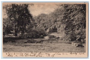 1907 A Tranquil Spot The Intervale Rochester New Hampshire NH Antique Postcard 