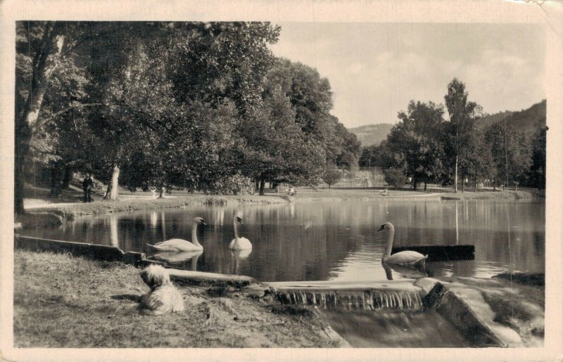 Slovakia Trencianske Teplice Labutie Jazero na Baracke Vintage RPPC 08.15