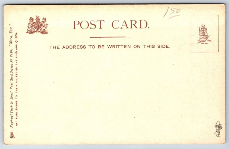 Waco Texas~Carnegie Public Library~Top Hat Driver Horse Buggy~c1905 TUCK