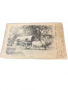 Postcard Antique View of Oxen Carriage.    Z9