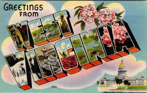 Postcard BIG LETTERS SCENE State Of West Virginia WV AO6801