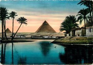 Egypt - The Pyramids during Nile Flood semi-modern postcard