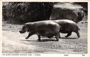 Uganda The Queen Elizabeth National Park, Hippo Postal Used Unknown 