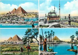 Africa Egypt Cairo Mohamen Ali Mosque Pyramids Nile Flood