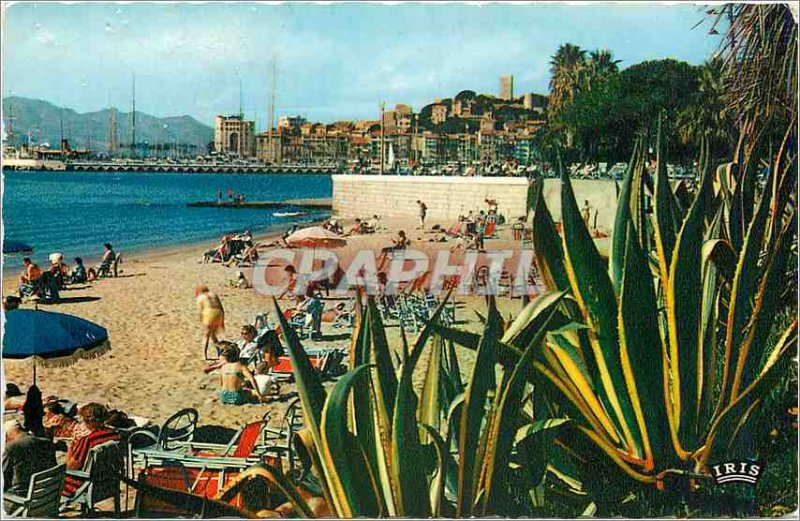 Old Postcard REFLECTIONS OF THE RIVIERA-CANNES