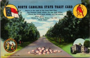 USA North Carolina State Toast Card Linen Postcard 09.81