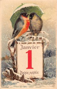 L180 New Year Greetings 1905 Birds under umbrella embossed postcard