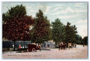 1907 Scene At The Zoo Delaware Park Cars Buffalo New York NY Antique Postcard 