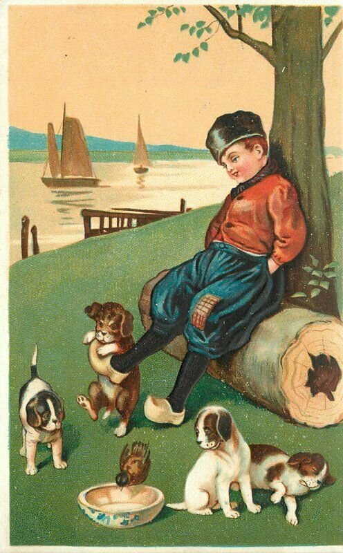 Artist impression C-1910 Dutch Boy Playful Puppy Dogs Postcard 20-10467