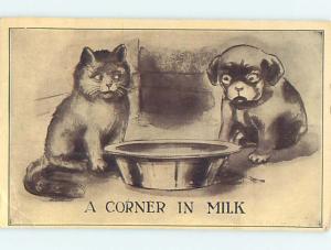 Bent Corner 1912 CAT AND DOG LOOK AT MILK IN A DISH o7088