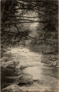 View of Tunkhannock Creek, Pocono Pines PA Vintage Postcard O31