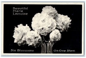 Kenosha Wisconsin Postcard RPPC Photo Flowers Six Blossoms One Steam Advertising