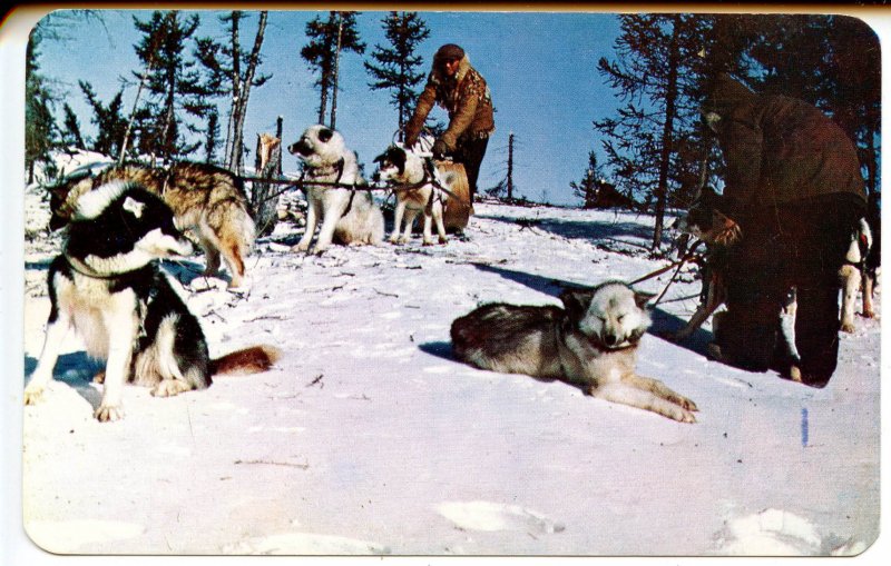 Canada - Ontario. The Hudson Bay Trading Co., Sled Dog Team