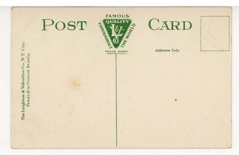 VT - St. Johnsbury. Bird's Eye View looking East