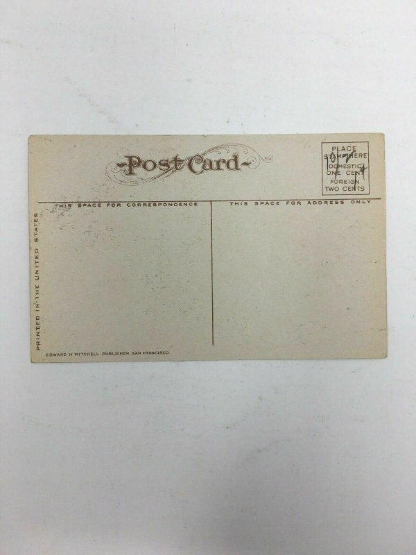 Minnewawa Near Fresno CA Postcard Rose Covered Residence