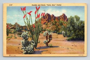 Ocotillo & Cholla Cactus American Southwest Landscape Linen Cancel WOB Postcard 