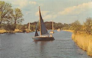 uk7291 river bure norfolk broads uk