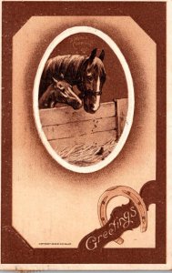 Horses A Noble Charger Greetings 1910