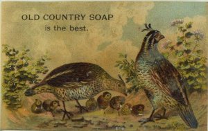 1880's Old Country Soap Pheasants Birds Victorian Trade Card P55