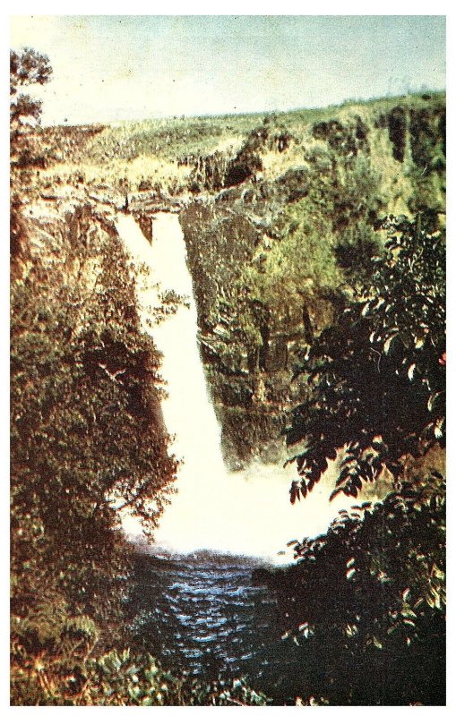 Rainbow Falls Near Hilo Hawaii Postcard Wesco Color Card