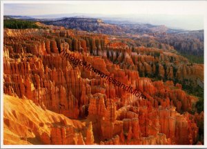 Bryce Canyon Utah Postcard PC232