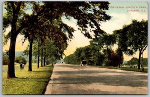 Chicago Illinois c1910 Postcard Driveway Lincoln Park