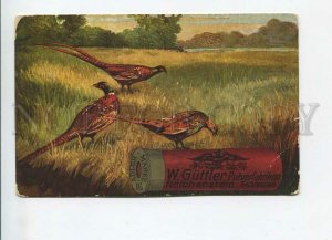 3183872 ADVERTISING cartridges pheasant HUNT Vintage postcard