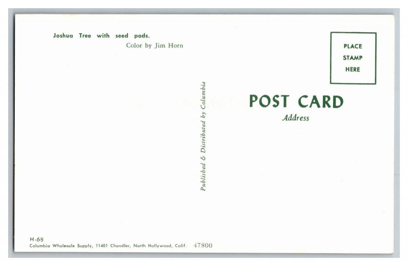 Postcard Joshua Tree With Seed Pods 