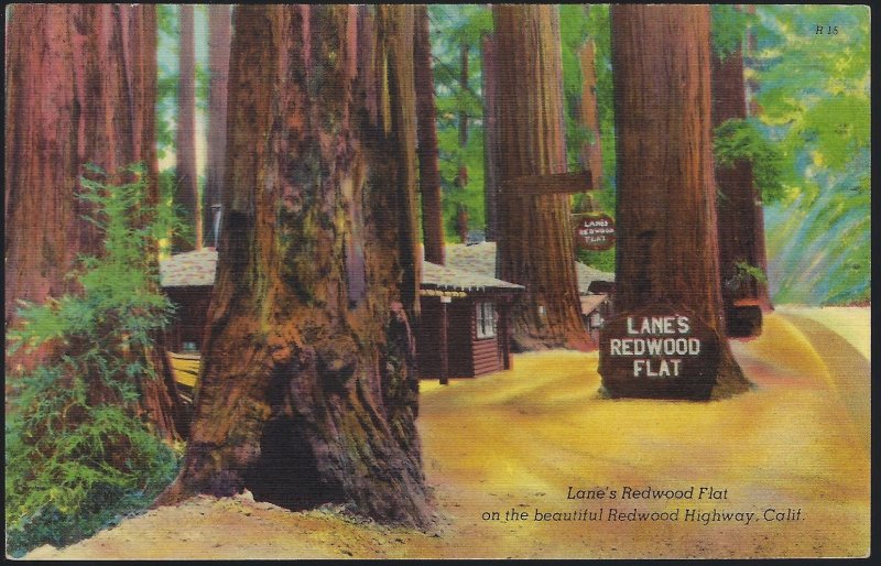 LANE'S REDWOOD FLAT ON THE REDWOOD HIGHWAY   UNUSED  CALIFORNIA