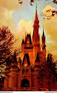 Florida Walt Disney World Cinderella Castle