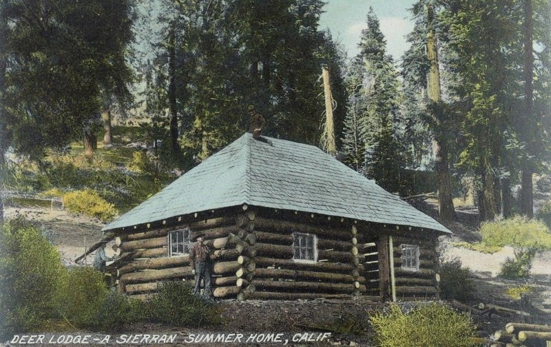 C.1910 Deer Lodge - A Sierran Summer Home, Calif. Postcard P61