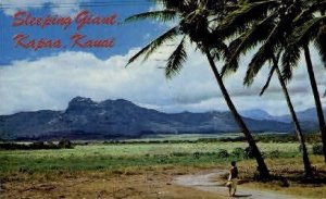 Sleeping Giant - Kauai, Hawaii HI