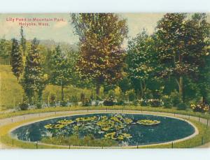 Divided-Back PARK SCENE Holyoke Massachusetts MA hk7780