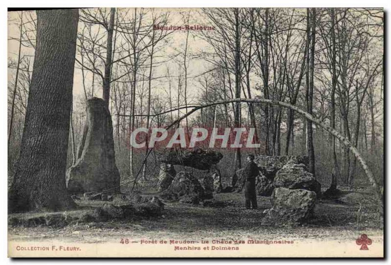 Old Postcard Tree Foret Meudon The Oak menhirs and dolmens missionaries