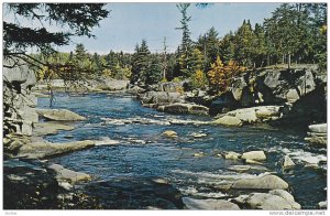Greetings from Busy Bathurst, Nepisiguit River at Pabineau Falls, New Bruns...