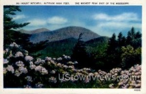 Mount Mitchell in Mount Mitchell, Mississippi