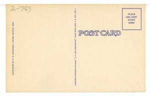 Wild Brahma Bull Riding